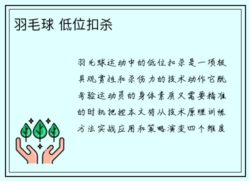 羽毛球 低位扣杀